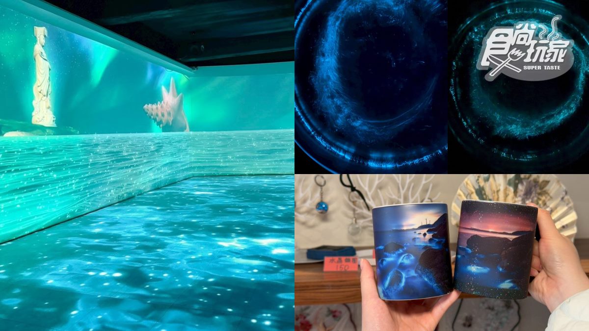 免出國打卡「CNN評選奇景」！全年觀賞藍眼淚，還能近距離互動、拍美照