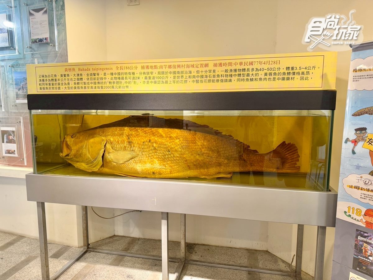 免出國打卡「CNN評選奇景」!全年觀賞藍眼淚,還能近距離互動、拍美照 免出國打卡「CNN評選奇景」!全年觀賞藍眼淚,還能近距離互動、拍美照