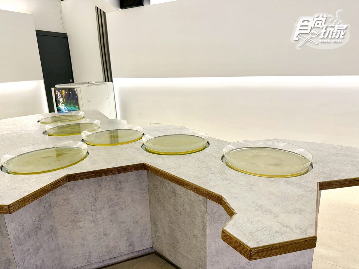 免出國打卡「CNN評選奇景」!全年觀賞藍眼淚,還能近距離互動、拍美照 免出國打卡「CNN評選奇景」!全年觀賞藍眼淚,還能近距離互動、拍美照