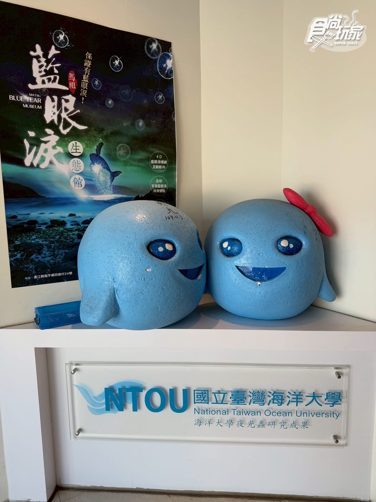 免出國打卡「CNN評選奇景」!全年觀賞藍眼淚,還能近距離互動、拍美照 免出國打卡「CNN評選奇景」!全年觀賞藍眼淚,還能近距離互動、拍美照