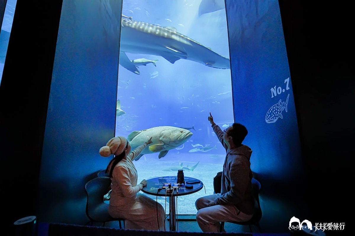 2025沖繩旅遊攻略!10大美食+景點推薦:7公分厚玉子燒、苦瓜漢堡、超Q獅薩 2025沖繩旅遊攻略!10大美食+景點推薦:7公分厚玉子燒、苦瓜漢堡、超Q獅薩