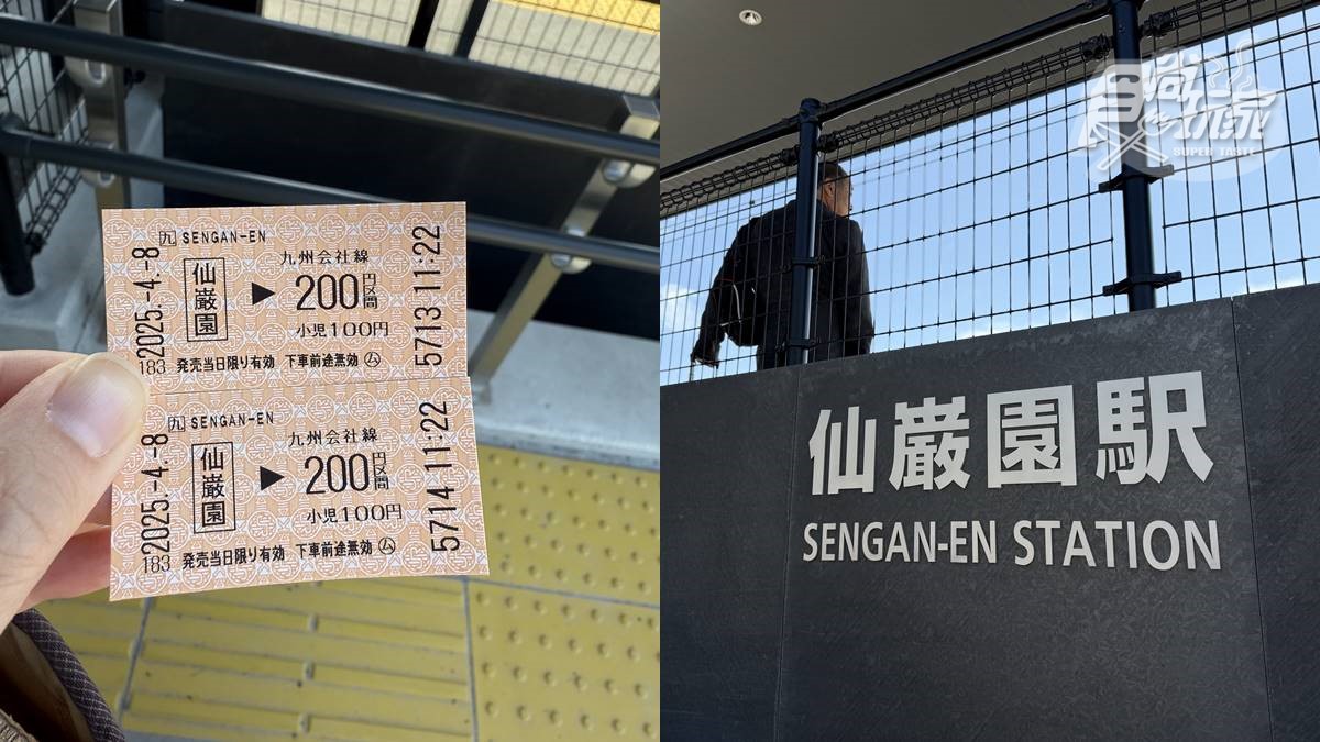 2025鹿兒島攻略!必吃必玩10選:80年名物最萌白熊冰、百年建築最美星巴克 2025鹿兒島攻略!必吃必玩10選:80年名物最萌白熊冰、百年建築最美星巴克