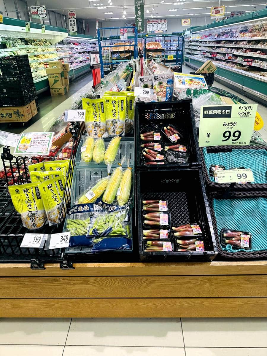 日本超市攻略!福岡必逛7間超市:小農鮮果最新鮮、好康家電二手店 日本超市攻略!福岡必逛7間超市:小農鮮果最新鮮、好康家電二手店