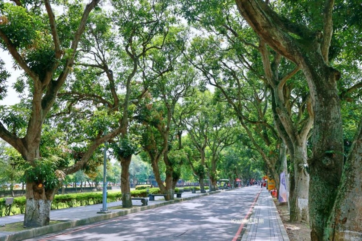 「古坑綠色隧道」玩法解鎖!附近景點+美食攻略,雲林親子景點 「古坑綠色隧道」玩法解鎖!附近景點+美食攻略,雲林親子景點