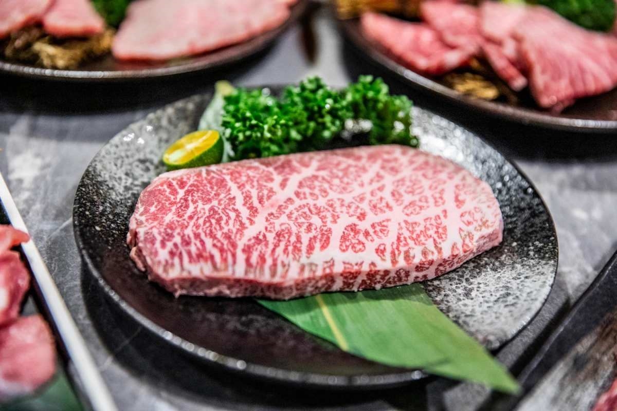 加99元和牛吃到飽!地表最強「燒肉吃到飽」手搖搬進店,手臂蝦、生蠔無限吃 加99元和牛吃到飽!地表最強「燒肉吃到飽」手搖搬進店,手臂蝦、生蠔無限吃