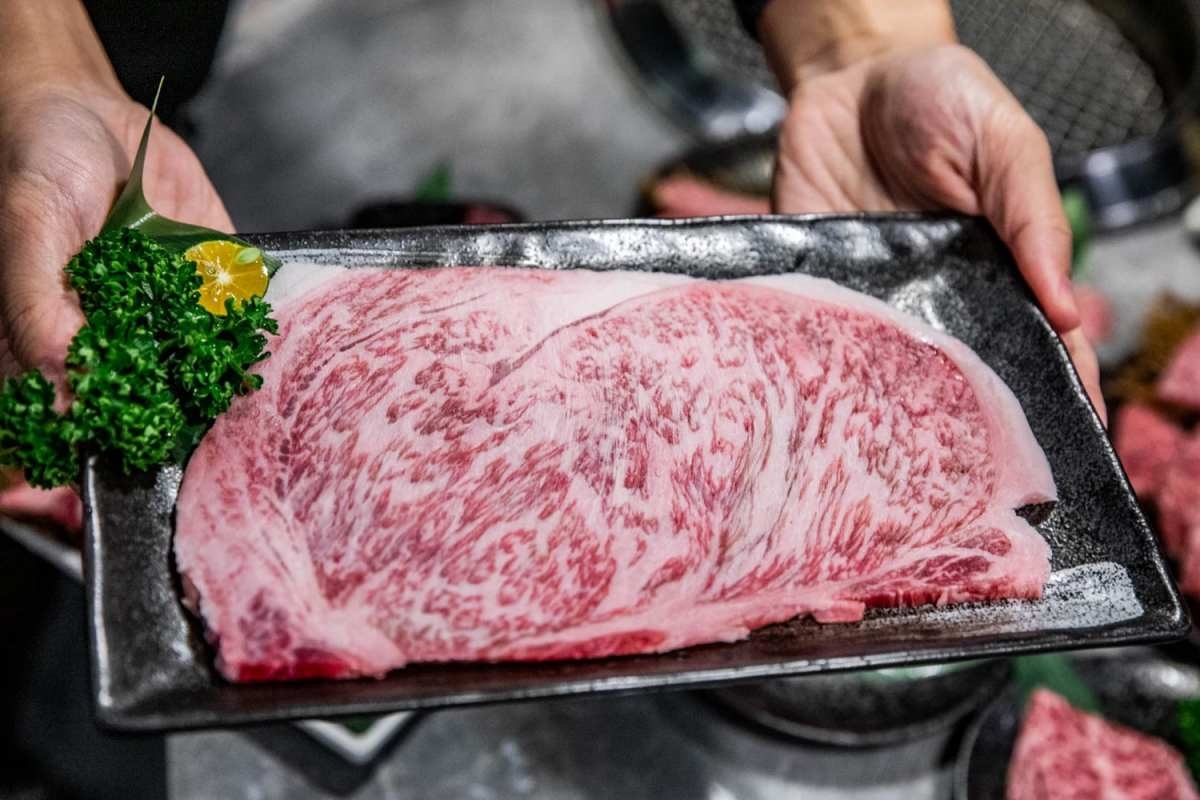 加99元和牛吃到飽！地表最強「燒肉吃到飽」手搖搬進店，手臂蝦、生蠔無限吃