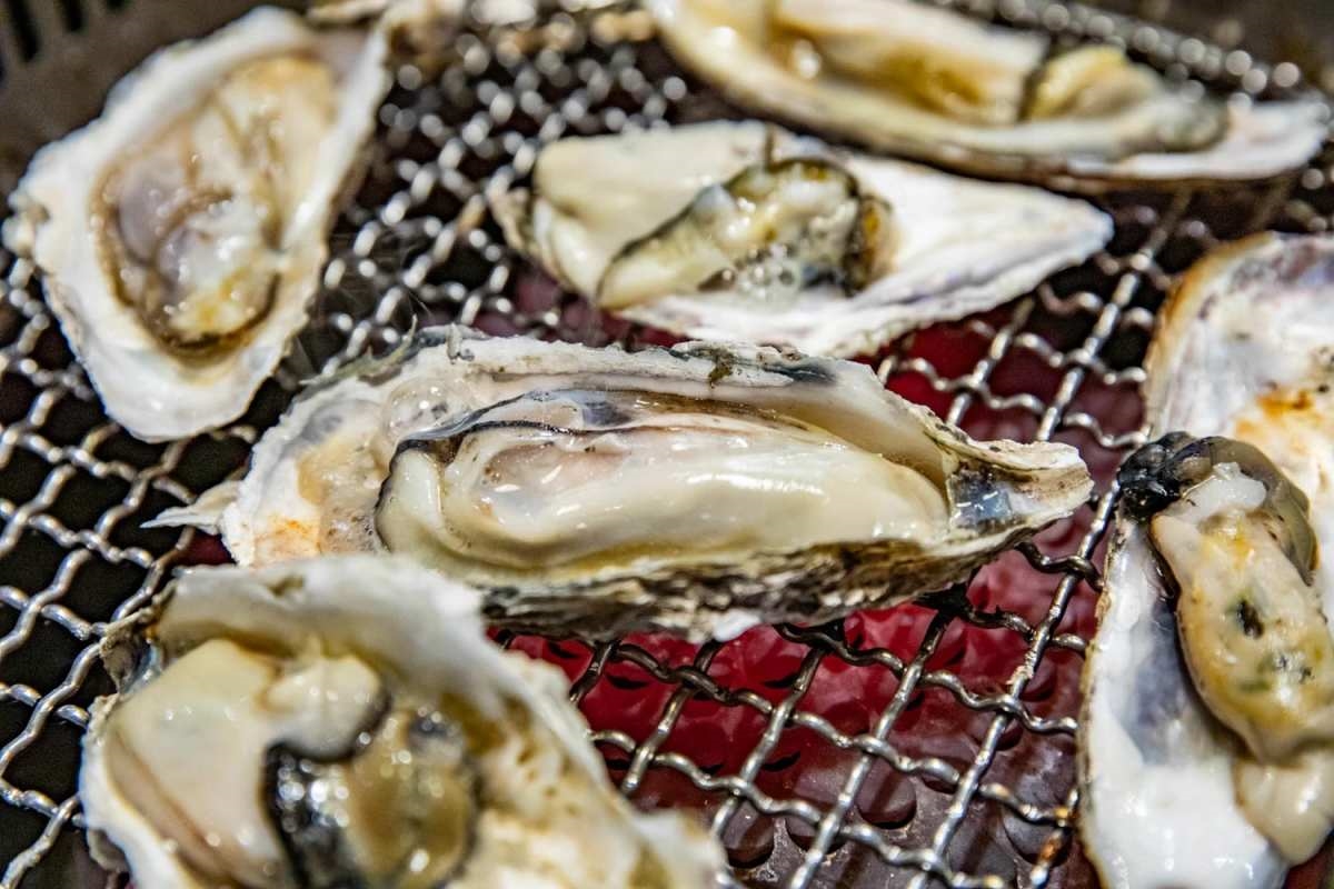 加99元和牛吃到飽!地表最強「燒肉吃到飽」手搖搬進店,手臂蝦、生蠔無限吃 加99元和牛吃到飽!地表最強「燒肉吃到飽」手搖搬進店,手臂蝦、生蠔無限吃