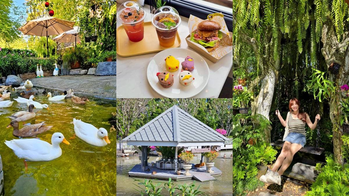 走入綠色仙境！打卡森林系「可達鴨咖啡廳」，能餵小鴨還能拍樹屋美照