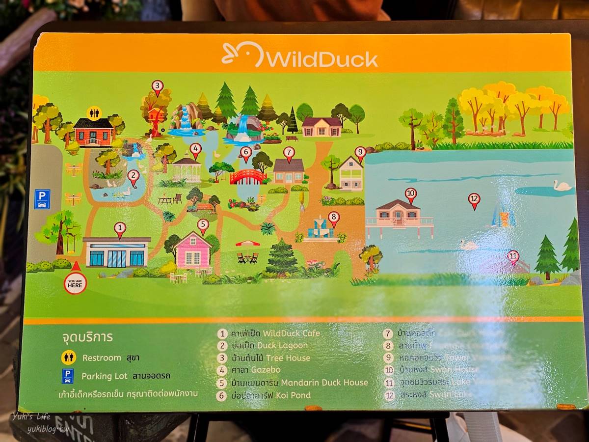 走入綠色仙境!打卡森林系「可達鴨咖啡廳」,能餵小鴨還能拍樹屋美照 走入綠色仙境!打卡森林系「可達鴨咖啡廳」,能餵小鴨還能拍樹屋美照