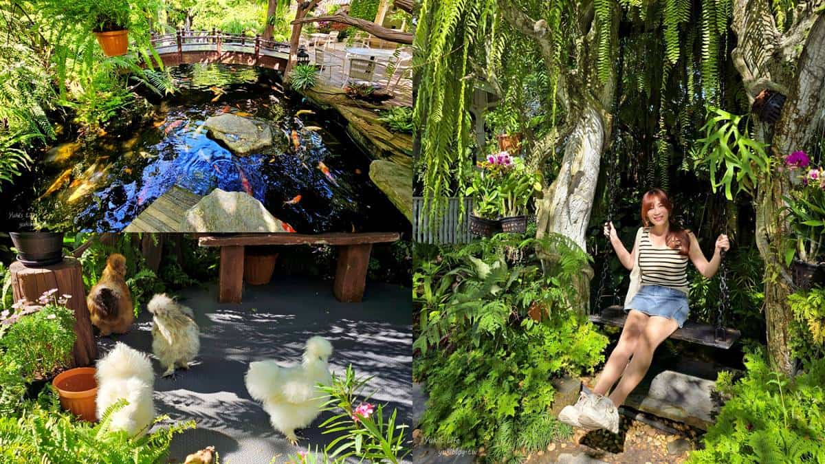 走入綠色仙境!打卡森林系「可達鴨咖啡廳」,能餵小鴨還能拍樹屋美照 走入綠色仙境!打卡森林系「可達鴨咖啡廳」,能餵小鴨還能拍樹屋美照