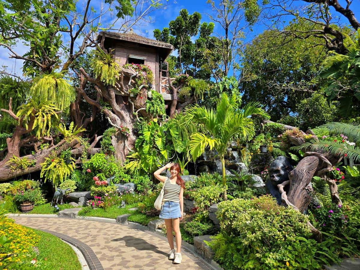 走入綠色仙境!打卡森林系「可達鴨咖啡廳」,能餵小鴨還能拍樹屋美照 走入綠色仙境!打卡森林系「可達鴨咖啡廳」,能餵小鴨還能拍樹屋美照