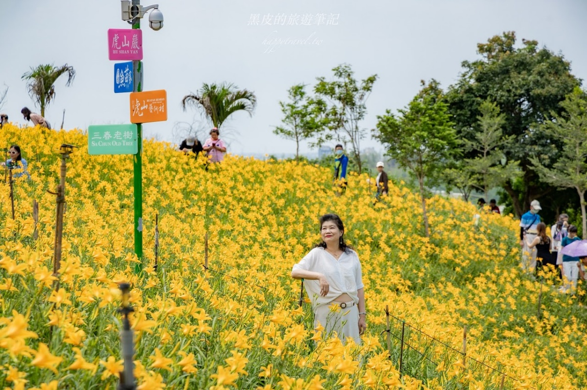 免衝花東!30萬株「金針花海」免費拍,花況歷年最美、全台最早開的金針花 免衝花東!30萬株「金針花海」免費拍,花況歷年最美、全台最早開的金針花
