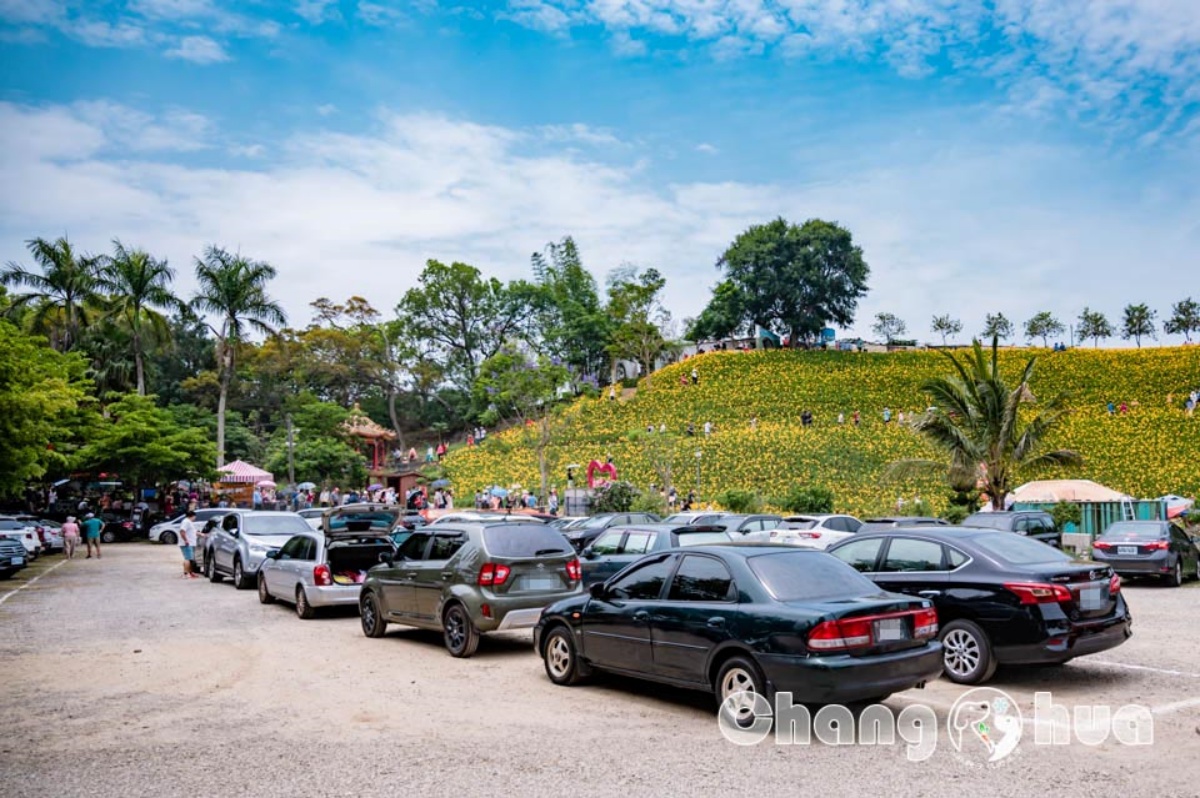 免衝花東!30萬株「金針花海」免費拍,花況歷年最美、全台最早開的金針花 免衝花東!30萬株「金針花海」免費拍,花況歷年最美、全台最早開的金針花