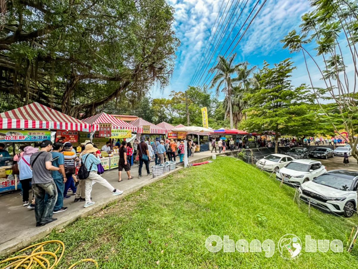 免衝花東!30萬株「金針花海」免費拍,花況歷年最美、全台最早開的金針花 免衝花東!30萬株「金針花海」免費拍,花況歷年最美、全台最早開的金針花