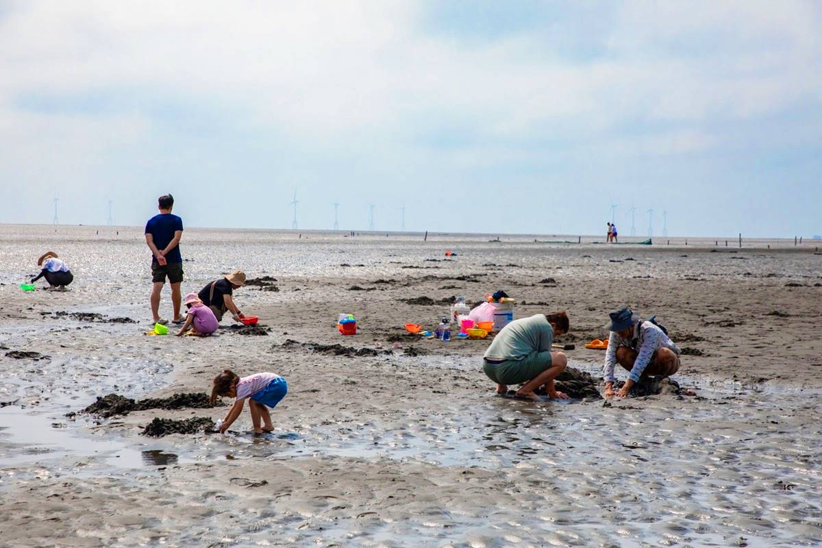 最低100元「不限時玩整天」!體驗挖蛤蜊、烤蚵吃到飽,高CP值一日遊行程 最低100元「不限時玩整天」!體驗挖蛤蜊、烤蚵吃到飽,高CP值一日遊行程