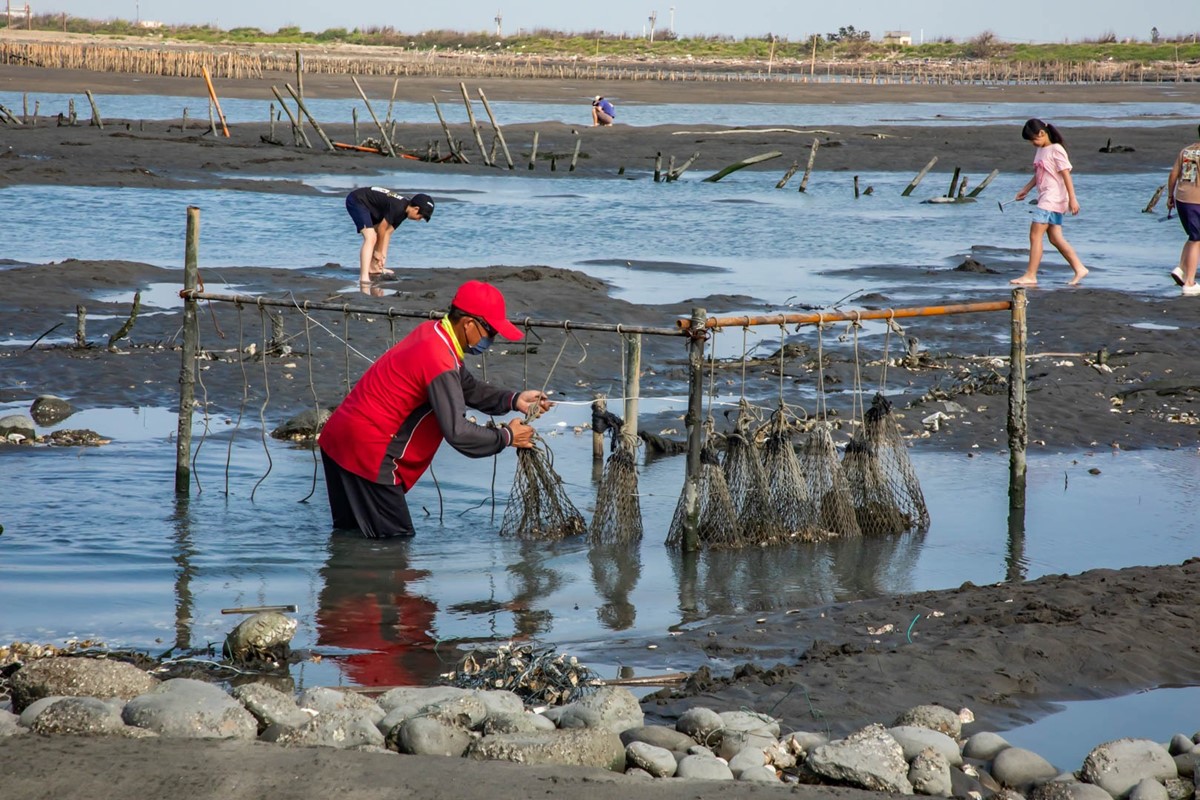 最低100元「不限時玩整天」!體驗挖蛤蜊、烤蚵吃到飽,高CP值一日遊行程 最低100元「不限時玩整天」!體驗挖蛤蜊、烤蚵吃到飽,高CP值一日遊行程