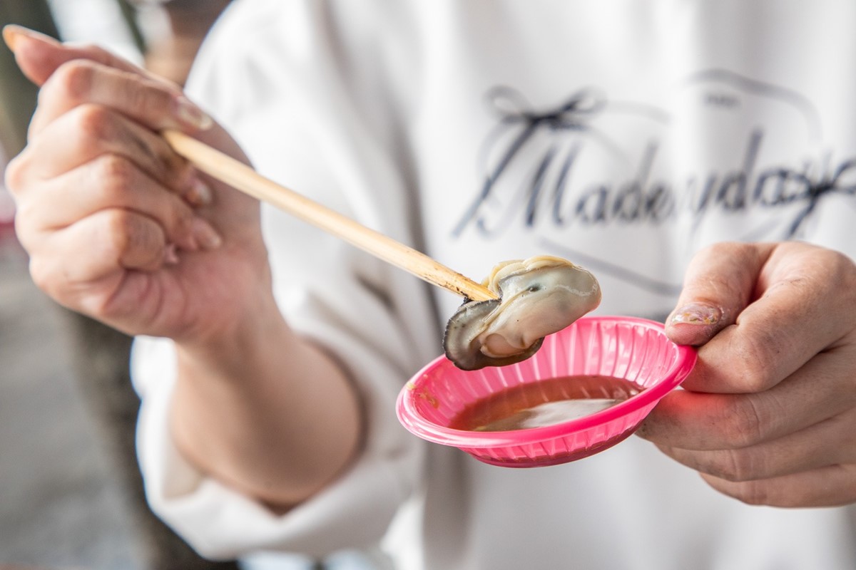 最低100元「不限時玩整天」!體驗挖蛤蜊、烤蚵吃到飽,高CP值一日遊行程 最低100元「不限時玩整天」!體驗挖蛤蜊、烤蚵吃到飽,高CP值一日遊行程