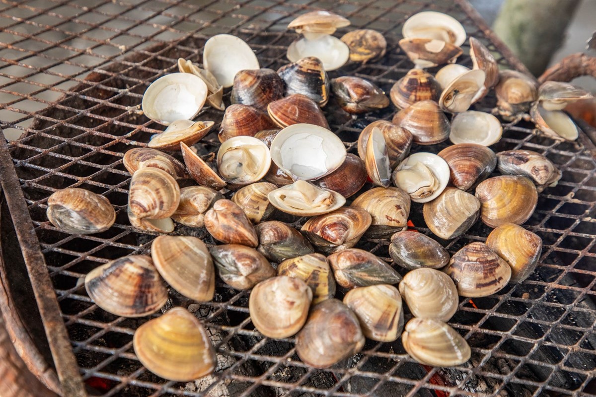 最低100元「不限時玩整天」!體驗挖蛤蜊、烤蚵吃到飽,高CP值一日遊行程 最低100元「不限時玩整天」!體驗挖蛤蜊、烤蚵吃到飽,高CP值一日遊行程