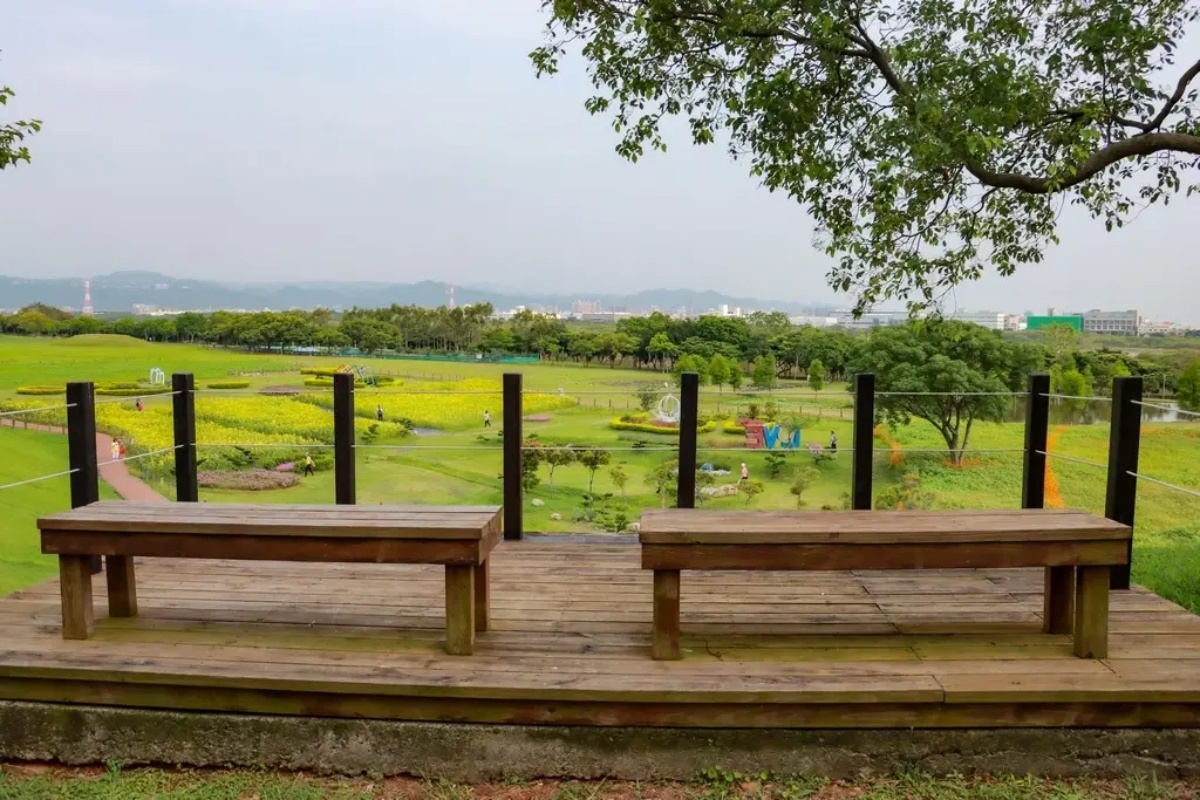 台中初夏最強花海!橘紅金針花、向日葵免費拍,2025最新花況一次看 台中初夏最強花海!橘紅金針花、向日葵免費拍,2025最新花況一次看