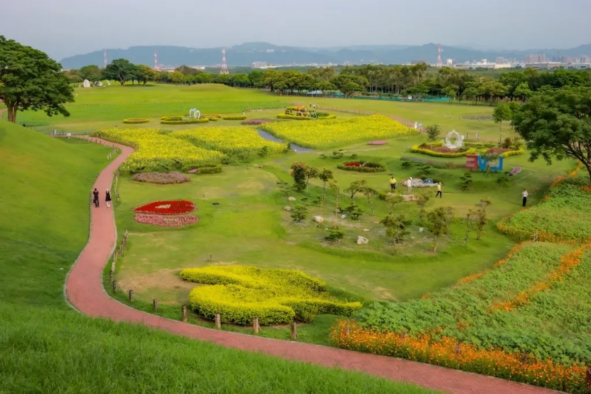 台中初夏最強花海!橘紅金針花、向日葵免費拍,2025最新花況一次看 台中初夏最強花海!橘紅金針花、向日葵免費拍,2025最新花況一次看