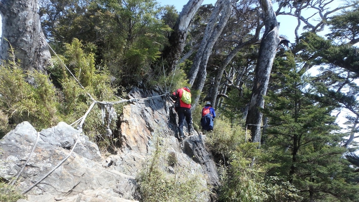 新登山口路線較長且坡度陡峭。（圖片來源：農業部林業及自然保育署屏東分署）