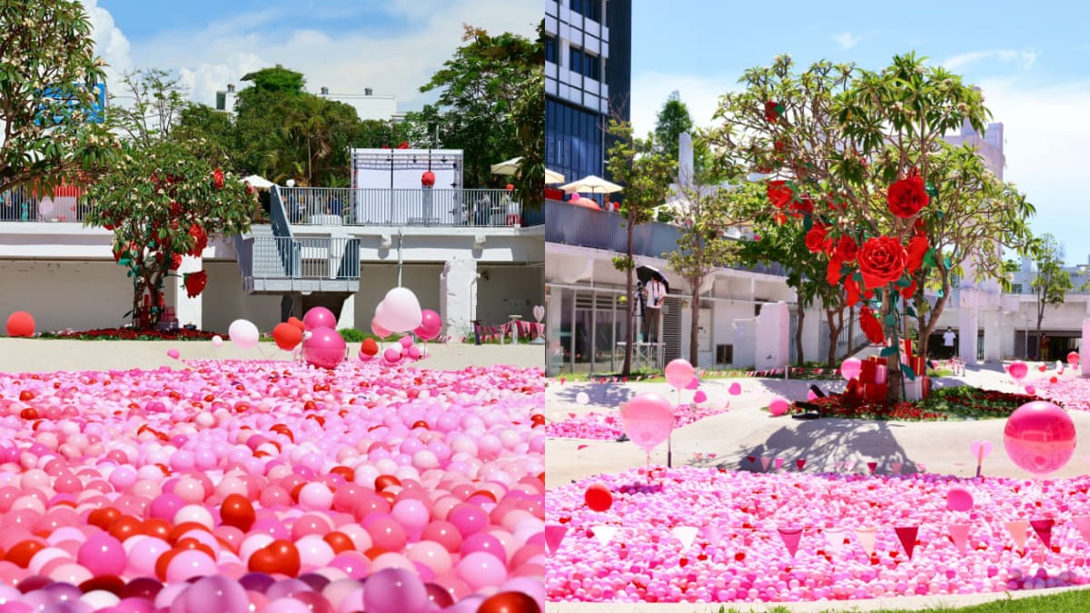 520浪漫登場！期間限定「夢幻粉紅球池」在台南，美拍玫瑰花樹、吃周邊美食