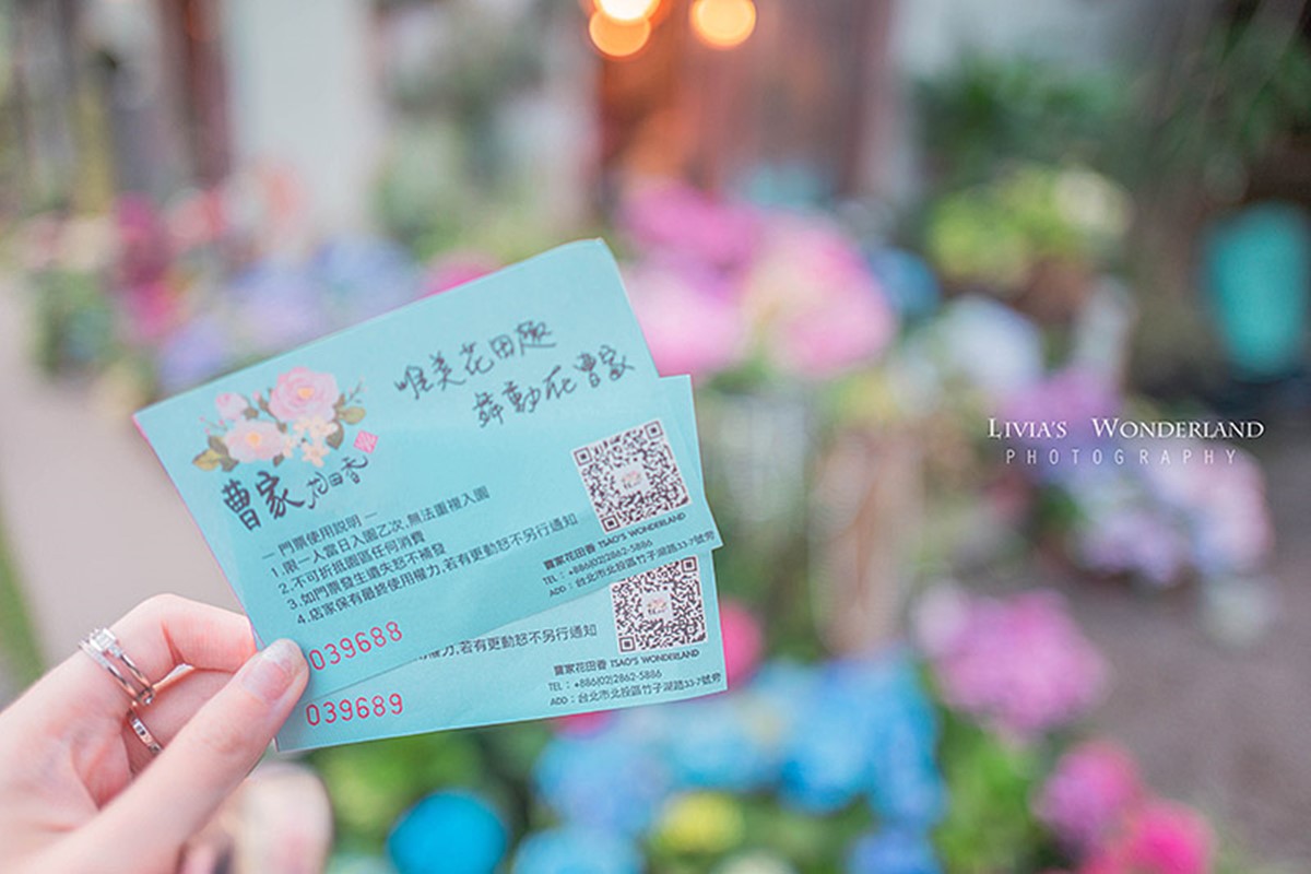 2025竹子湖繡球花季開跑!台北最美繡球花海在這,門票150元可全額抵消費 2025竹子湖繡球花季開跑!台北最美繡球花海在這,門票150元可全額抵消費