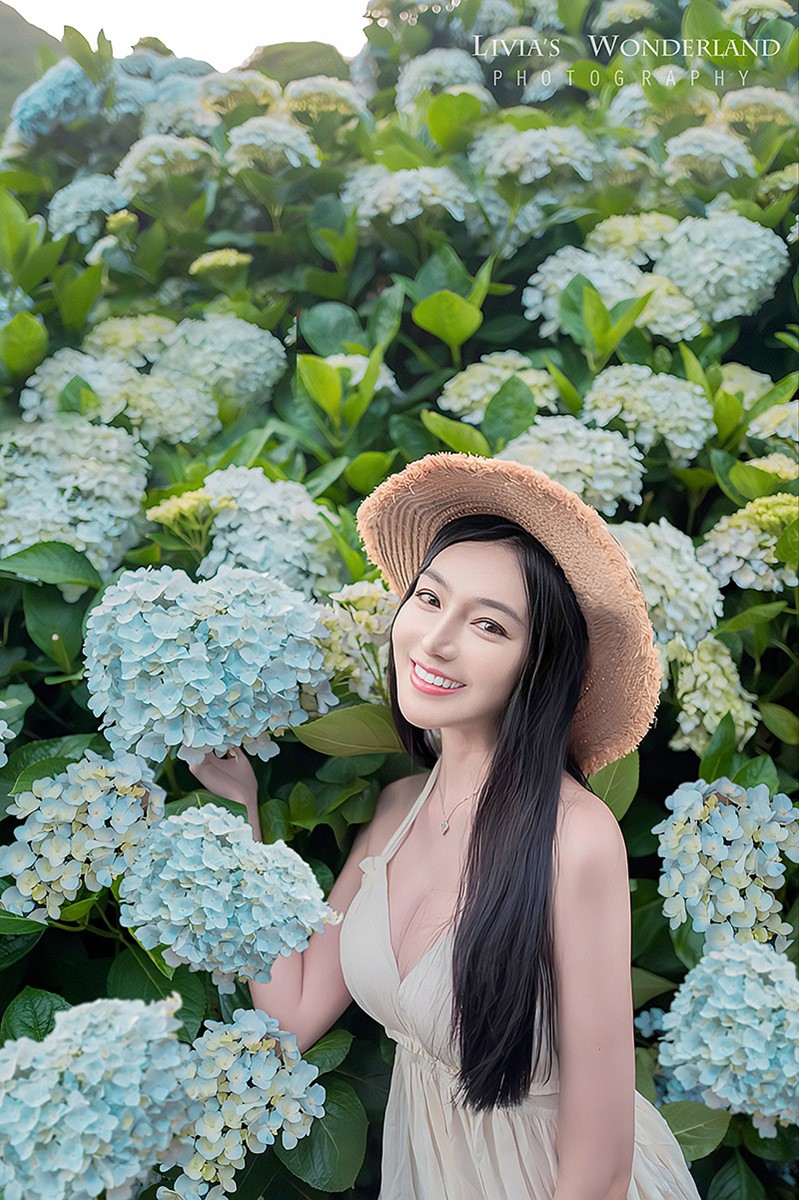 2025竹子湖繡球花季開跑!台北最美繡球花海在這,門票150元可全額抵消費 2025竹子湖繡球花季開跑!台北最美繡球花海在這,門票150元可全額抵消費