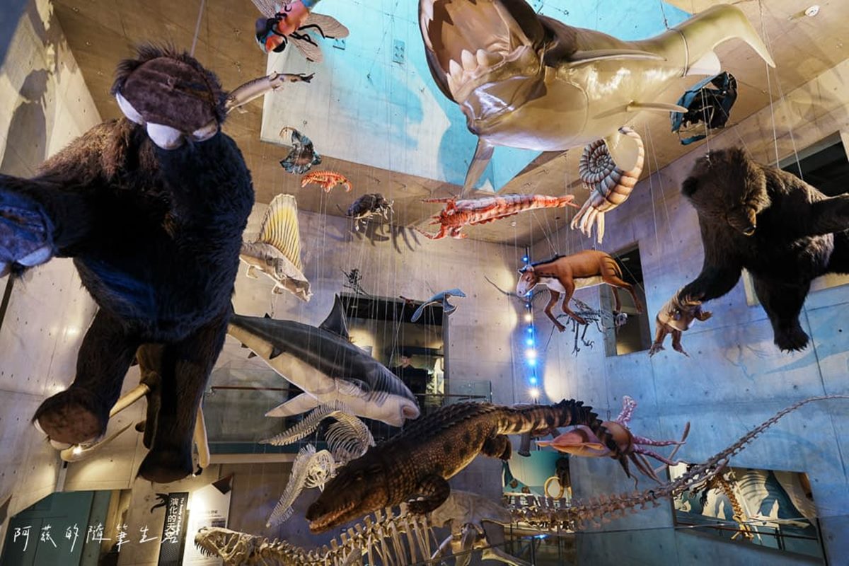 1秒穿越「侏儸紀公園」!台灣唯一「化石主題博物館」,5大展區亮點一次看 1秒穿越「侏儸紀公園」!台灣唯一「化石主題博物館」,5大展區亮點一次看