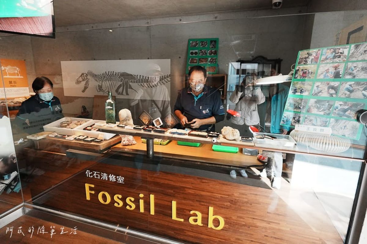 1秒穿越「侏儸紀公園」!台灣唯一「化石主題博物館」,5大展區亮點一次看 1秒穿越「侏儸紀公園」!台灣唯一「化石主題博物館」,5大展區亮點一次看