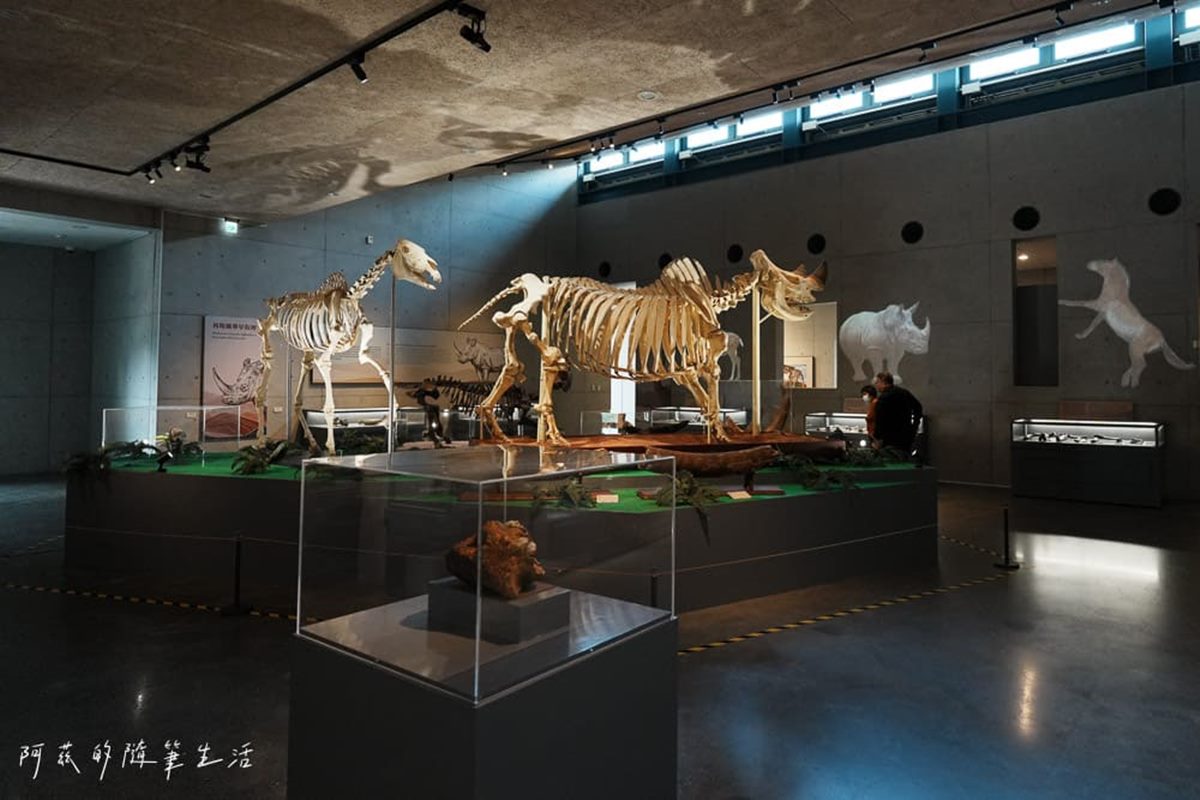 1秒穿越「侏儸紀公園」!台灣唯一「化石主題博物館」,5大展區亮點一次看 1秒穿越「侏儸紀公園」!台灣唯一「化石主題博物館」,5大展區亮點一次看