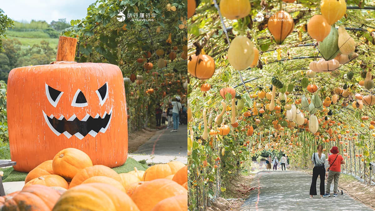 錯過等明年！臉書爆紅免費景點「南瓜隧道」在這，超過100公尺、品種超多
