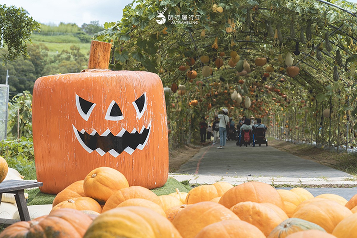 錯過等明年!臉書爆紅免費景點「南瓜隧道」在這,超過100公尺、品種超多 錯過等明年!臉書爆紅免費景點「南瓜隧道」在這,超過100公尺、品種超多