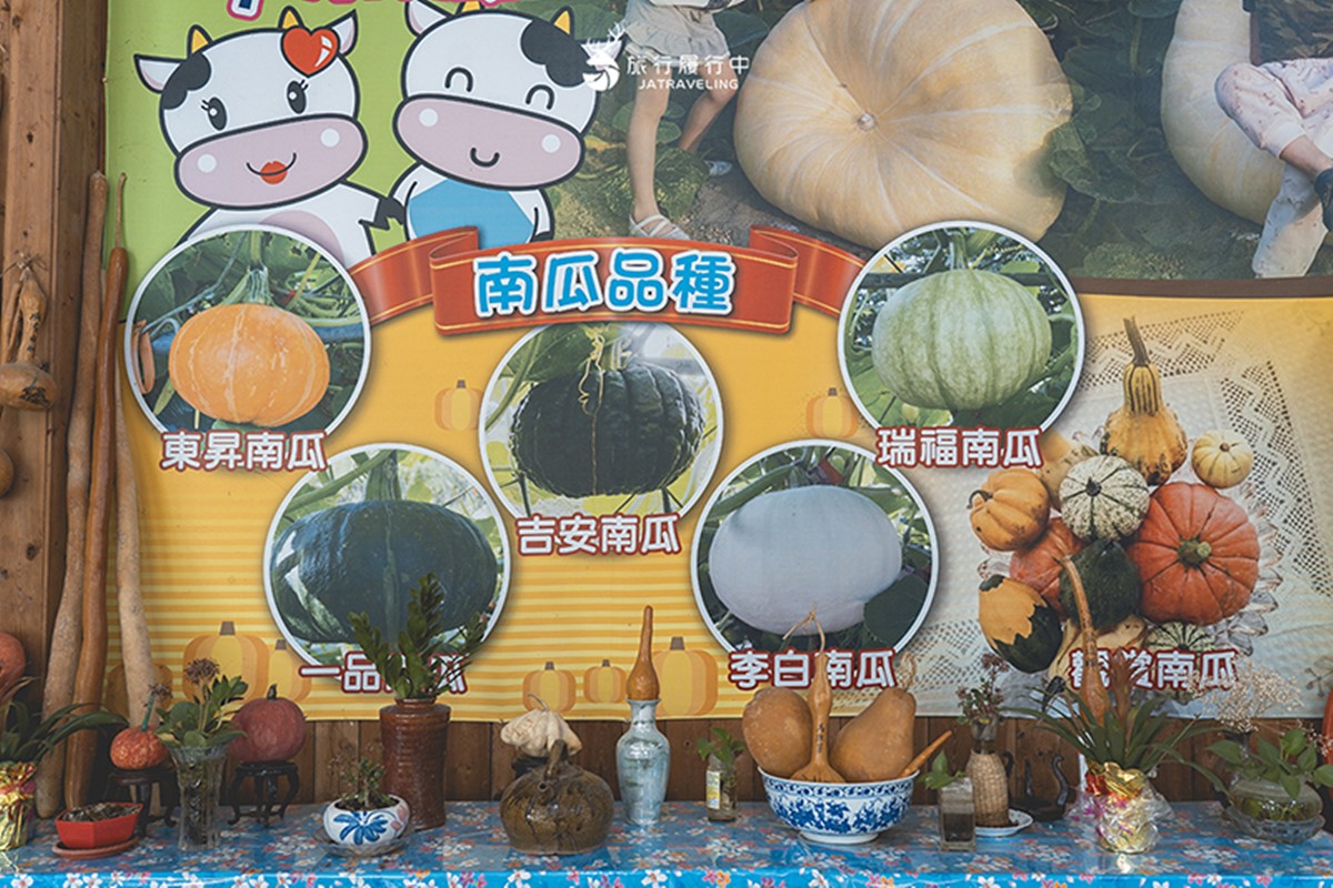 錯過等明年!臉書爆紅免費景點「南瓜隧道」在這,超過100公尺、品種超多 錯過等明年!臉書爆紅免費景點「南瓜隧道」在這,超過100公尺、品種超多