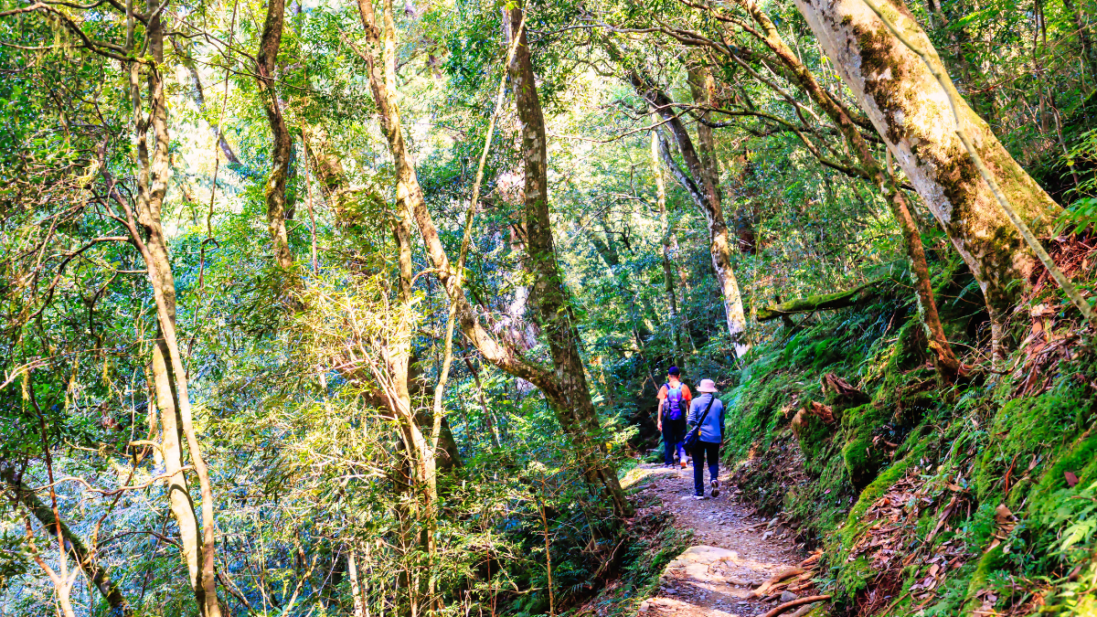 2025探索北橫三大主題遊程等你玩！再抽「桃園住宿大獎」