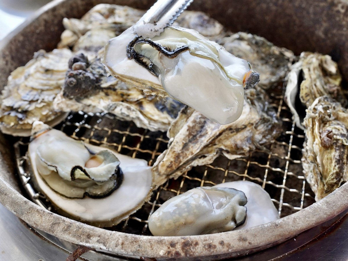 端午煙火秀在嘉義!看精彩龍舟賽、逛美食市集,免費吃蚵仔粥、玩氣墊城堡 端午煙火秀在嘉義!看精彩龍舟賽、逛美食市集,免費吃蚵仔粥、玩氣墊城堡