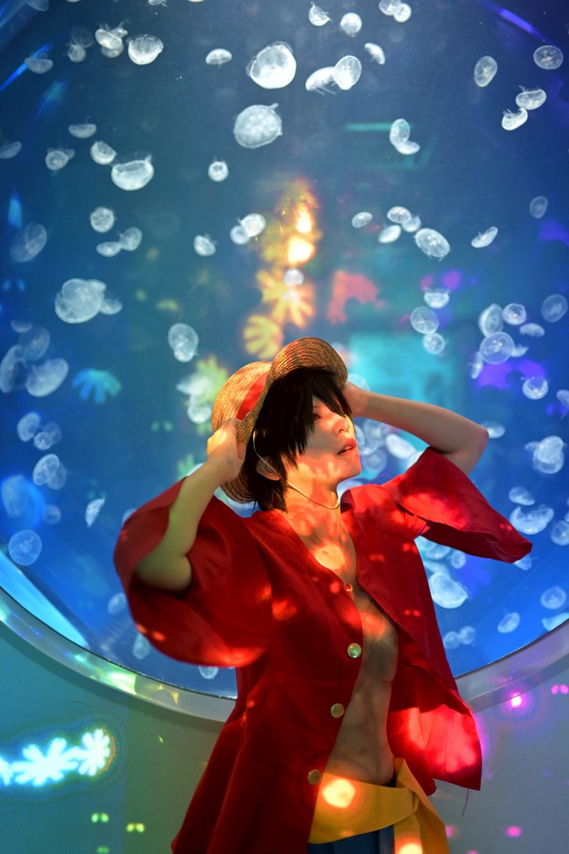 限時免費入場!「2025桃園變裝嘉年華」本週開跑,Xpark、手信霧隱城免門票 限時免費入場!「2025桃園變裝嘉年華」本週開跑,Xpark、手信霧隱城免門票