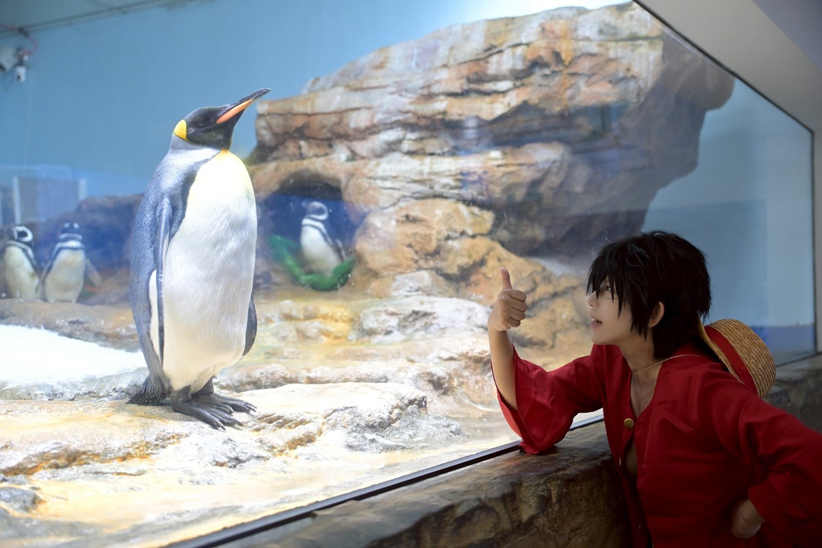 限時免費入場!「2025桃園變裝嘉年華」本週開跑,Xpark、手信霧隱城免門票 限時免費入場!「2025桃園變裝嘉年華」本週開跑,Xpark、手信霧隱城免門票