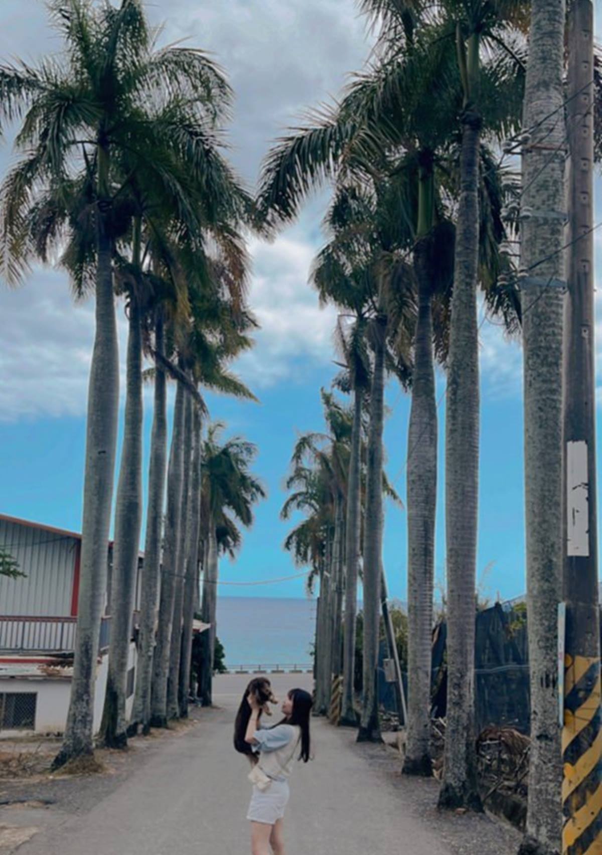 2025台東光祭:夢幻聲光展演+知本美食推薦,夜遊必看亮點 2025台東光祭:夢幻聲光展演+知本美食推薦,夜遊必看亮點