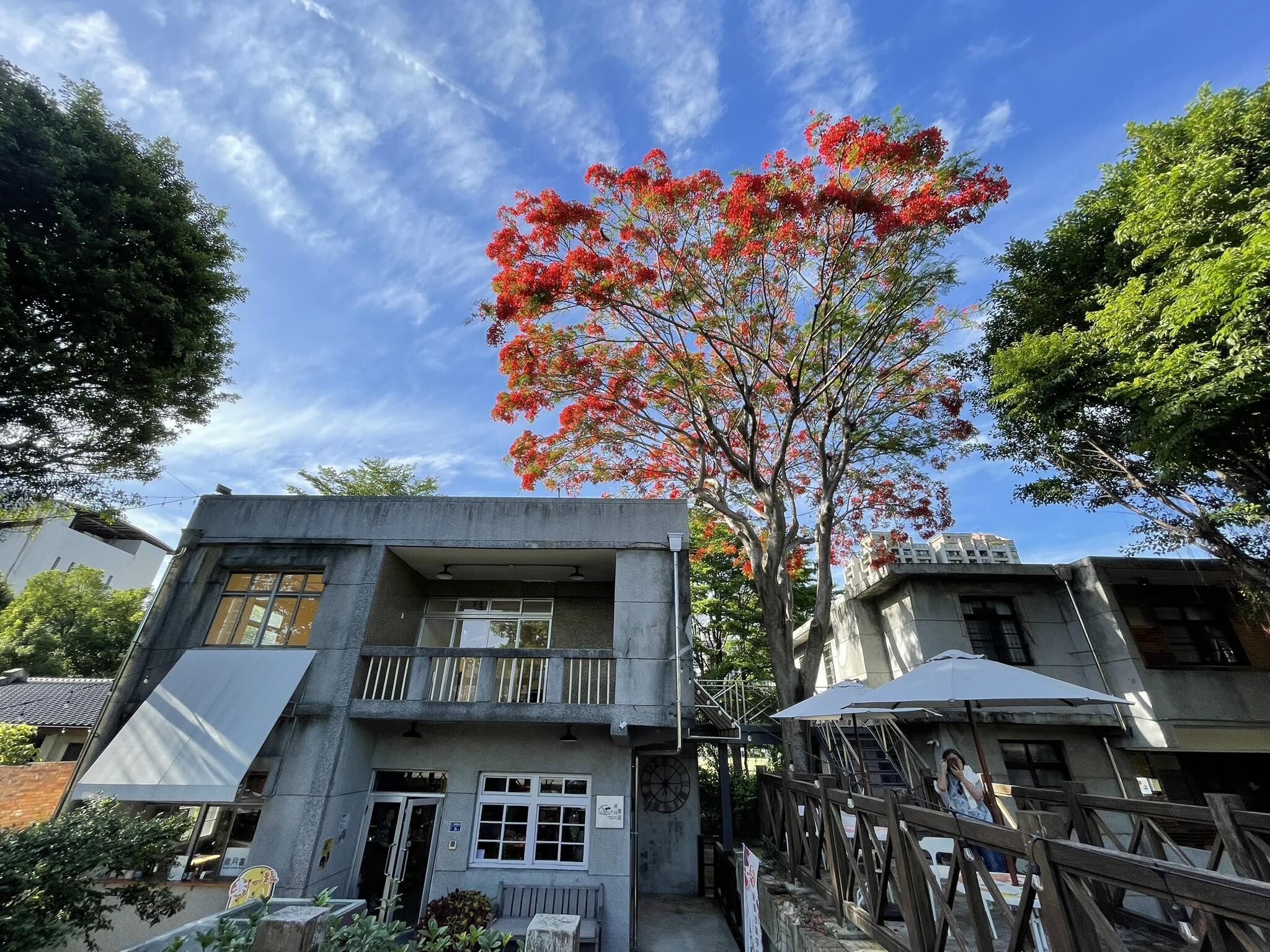 「空軍三重一村」美食+景點懶人包|新北眷村、親子景點推薦 「空軍三重一村」美食+景點懶人包|新北眷村、親子景點推薦