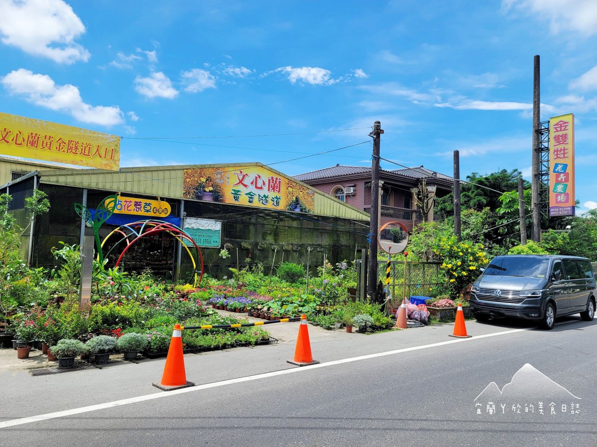 全台唯一「黃金文心蘭隧道」在這!門票50元超好拍,6月限定美景錯過等明年 全台唯一「黃金文心蘭隧道」在這!門票50元超好拍,6月限定美景錯過等明年
