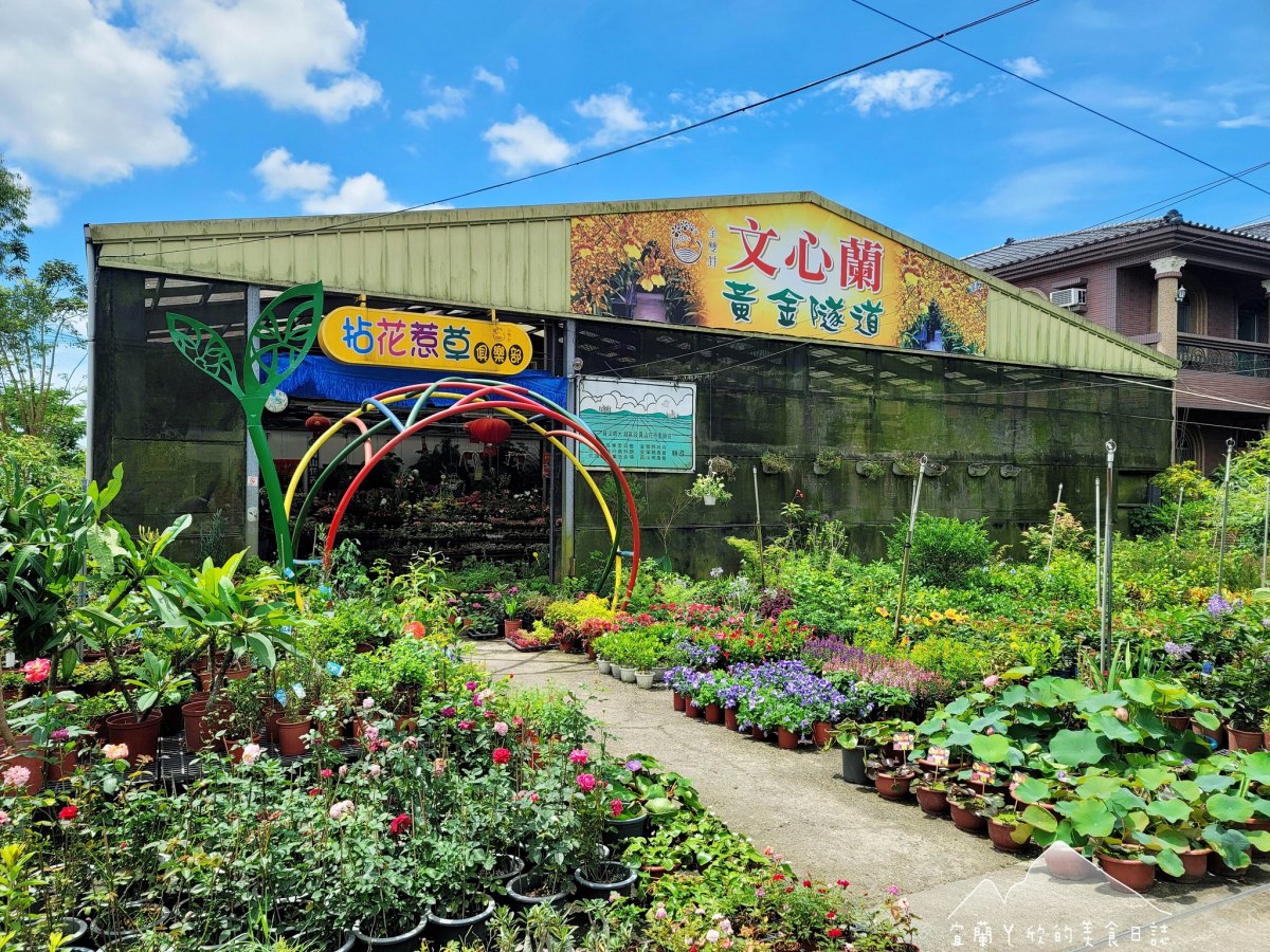 全台唯一「黃金文心蘭隧道」在這!門票50元超好拍,6月限定美景錯過等明年 全台唯一「黃金文心蘭隧道」在這!門票50元超好拍,6月限定美景錯過等明年