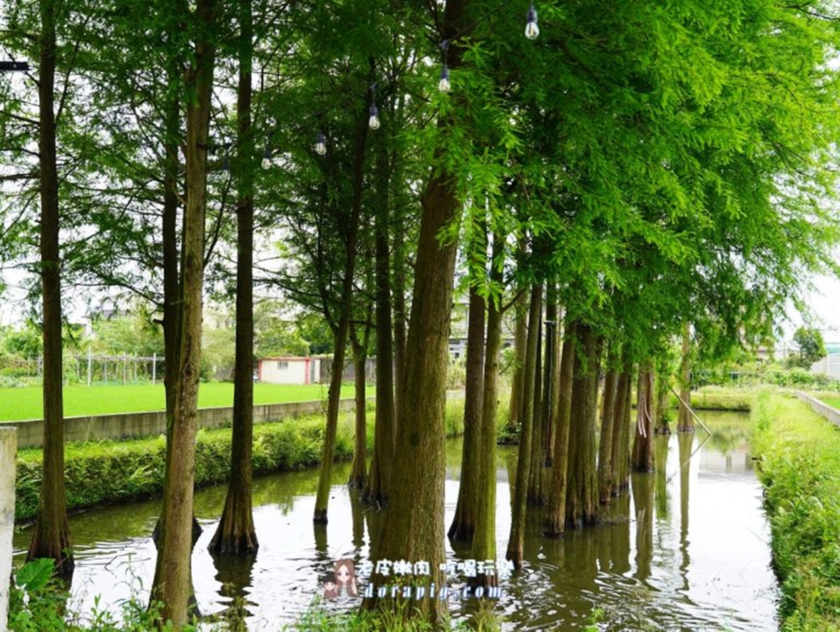 2025宜蘭包棟民宿10選!海景第一排、落雨松美景、3萬顆彩虹球池 2025宜蘭包棟民宿10選!海景第一排、落雨松美景、3萬顆彩虹球池
