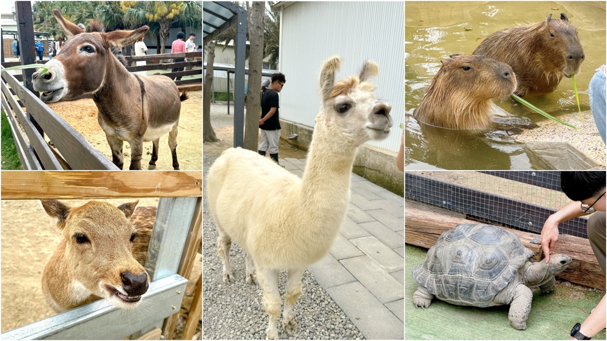 「南寮漁港」一日遊玩法:7大景點、6推薦美食+必買肉桂捲 「南寮漁港」一日遊玩法:7大景點、6推薦美食+必買肉桂捲