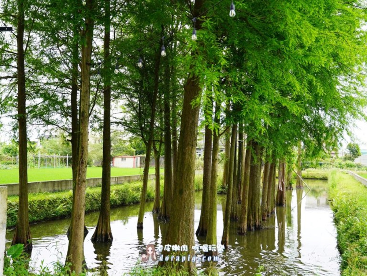 宜蘭超夯「包棟民宿」5折快搶!星巴克咖啡、零食無限暢吃,還有電動麻將桌 宜蘭超夯「包棟民宿」5折快搶!星巴克咖啡、零食無限暢吃,還有電動麻將桌