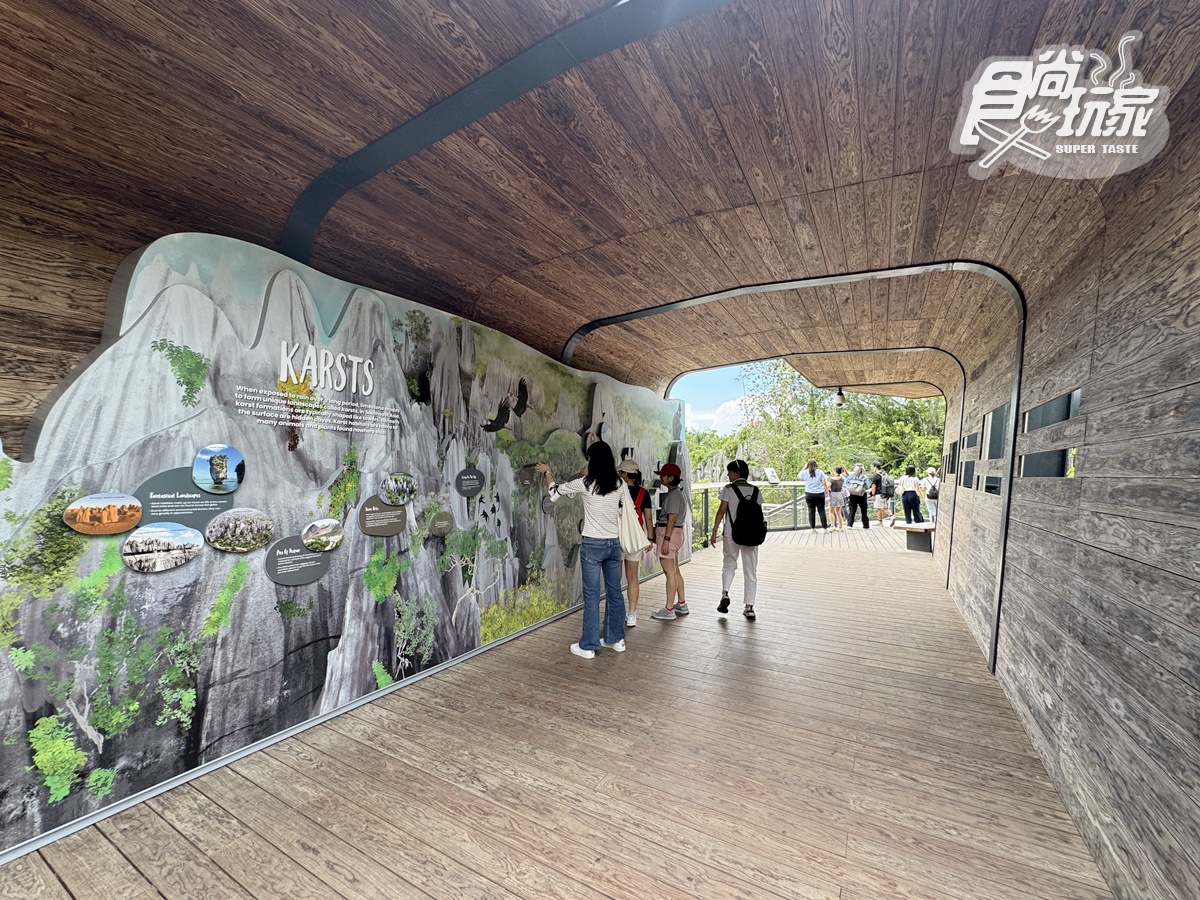 亞洲首座「雨林野生探險園」開幕!5大亮點攻略搶看:36種珍稀動物、洞穴探險 亞洲首座「雨林野生探險園」開幕!5大亮點攻略搶看:36種珍稀動物、洞穴探險
