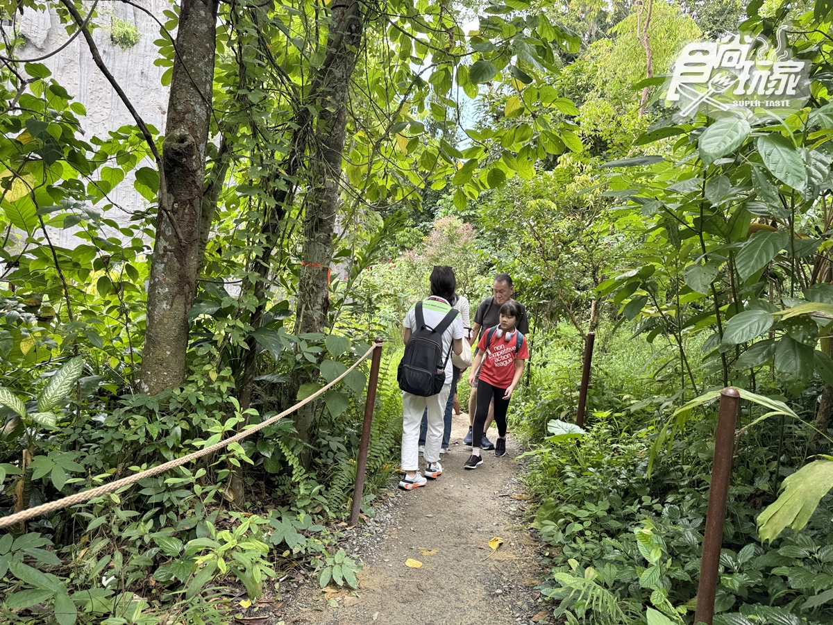 亞洲首座「雨林野生探險園」開幕!5大亮點攻略搶看:36種珍稀動物、洞穴探險 亞洲首座「雨林野生探險園」開幕!5大亮點攻略搶看:36種珍稀動物、洞穴探險