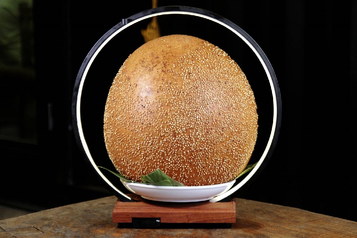 哆啦A夢出沒台東市！打卡點、彩繪公車、粉絲見面會一次看，還有必吃５美食（中獎公布）