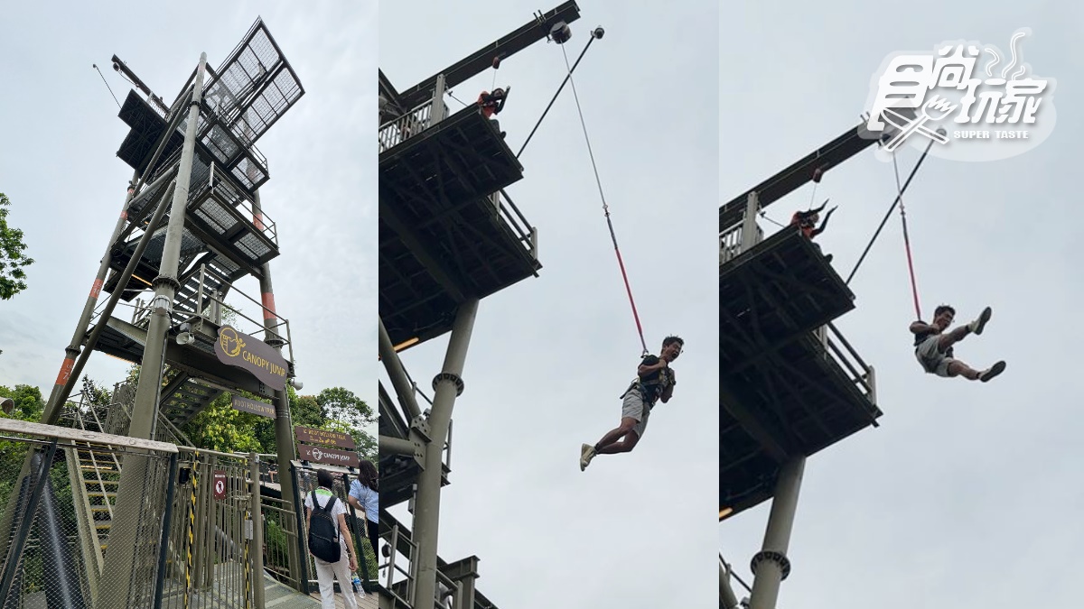亞洲首座「雨林野生探險園」開幕!5大亮點攻略搶看:36種珍稀動物、洞穴探險 亞洲首座「雨林野生探險園」開幕!5大亮點攻略搶看:36種珍稀動物、洞穴探險