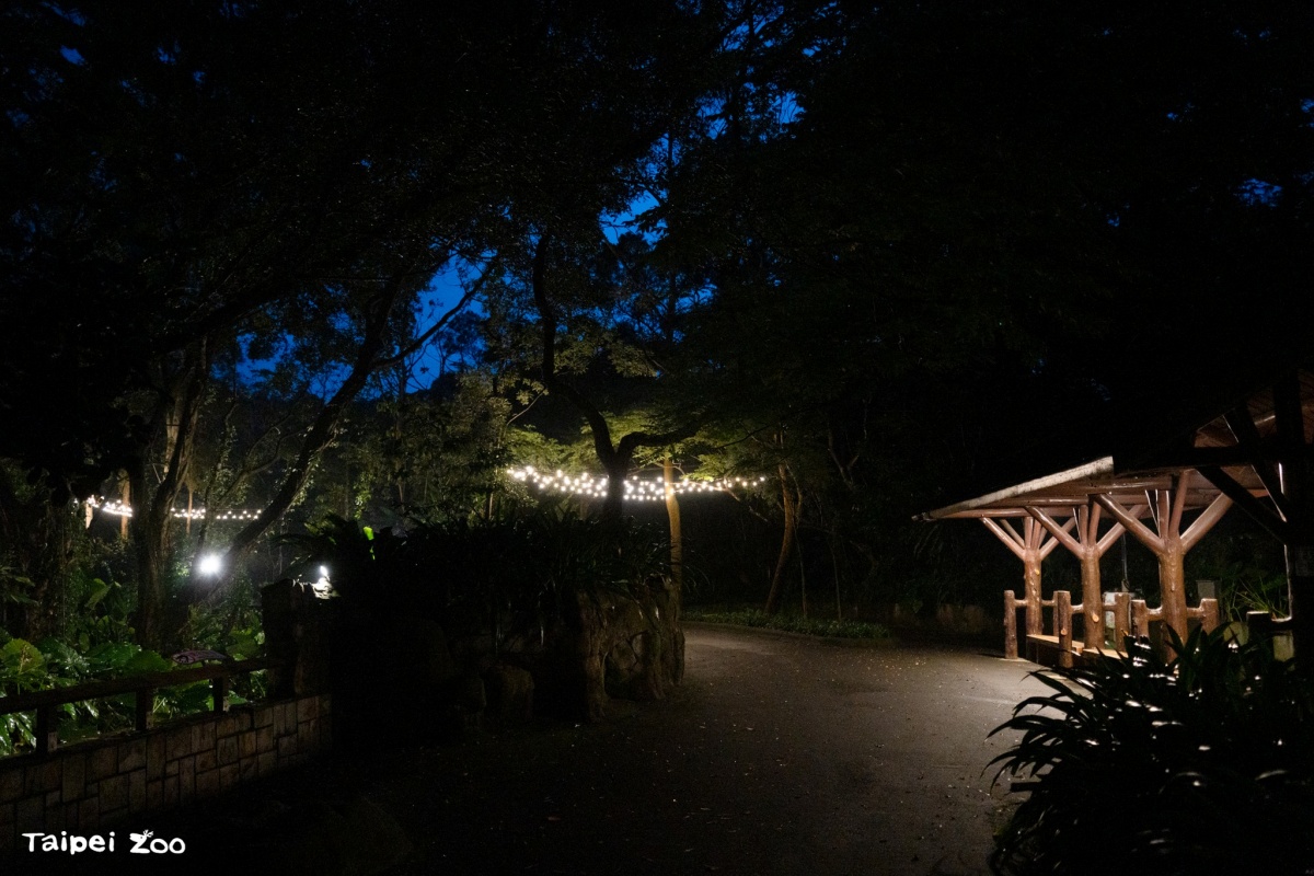木柵動物園暑假限定「星光票」登場!參觀時間延長到9點,可和動物一起野餐 木柵動物園暑假限定「星光票」登場!參觀時間延長到9點,可和動物一起野餐